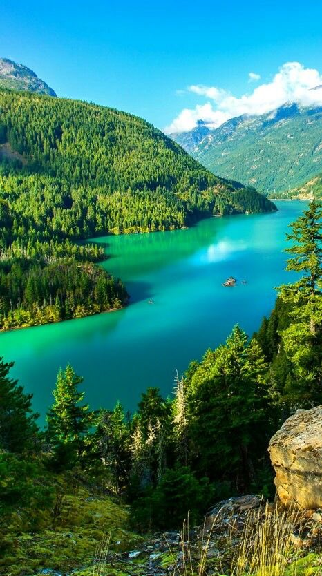 🌾🩵Թɑղժօɾɑ 🩵🌾 tweet media