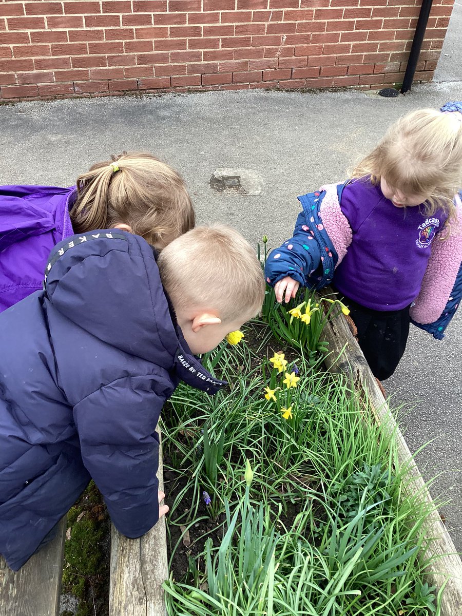 TadPrimaryAcad's tweet photo. Team Venus have been a ‘signs of Spring’ hunt today. We found Hyacinths, Daffodils and Snowdrops. #TadcasterEYFS #TadcasterScience @eboractrust https://t.co/f75Or2aOWS