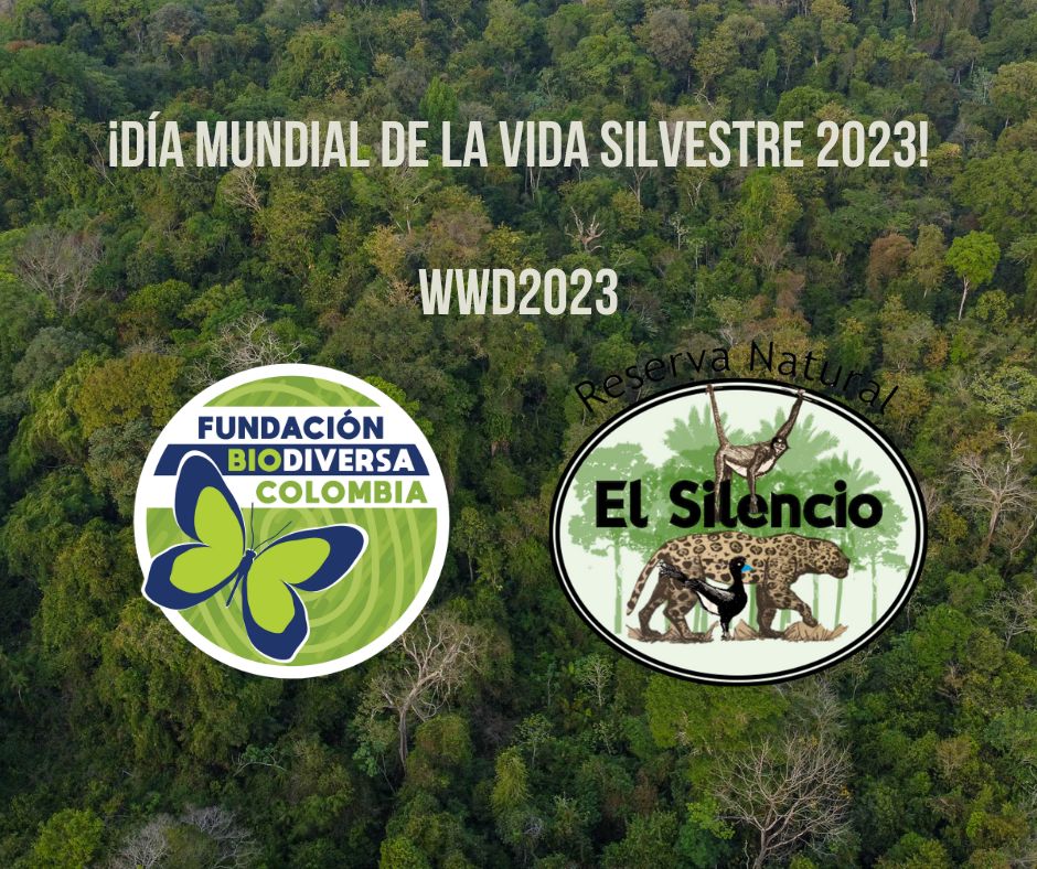 Biodiversa Colombia tweet media