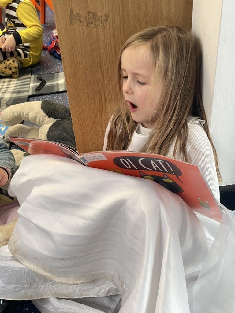 Y1 HighStPrimary tweet media