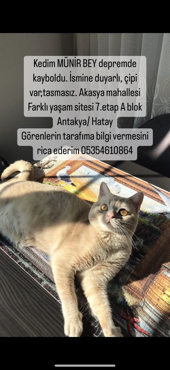 #antakya kayıp aranıyor 🆘