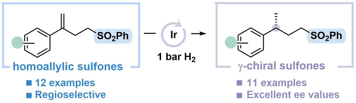 Check out our last publication on the Enantioselective Ir-Catalyzed Hydrogenation of Terminal Homoallyl Sulfones: Total Synthesis of (−)-Curcumene in Organic Letters 
pubs.acs.org/doi/pdf/10.102…