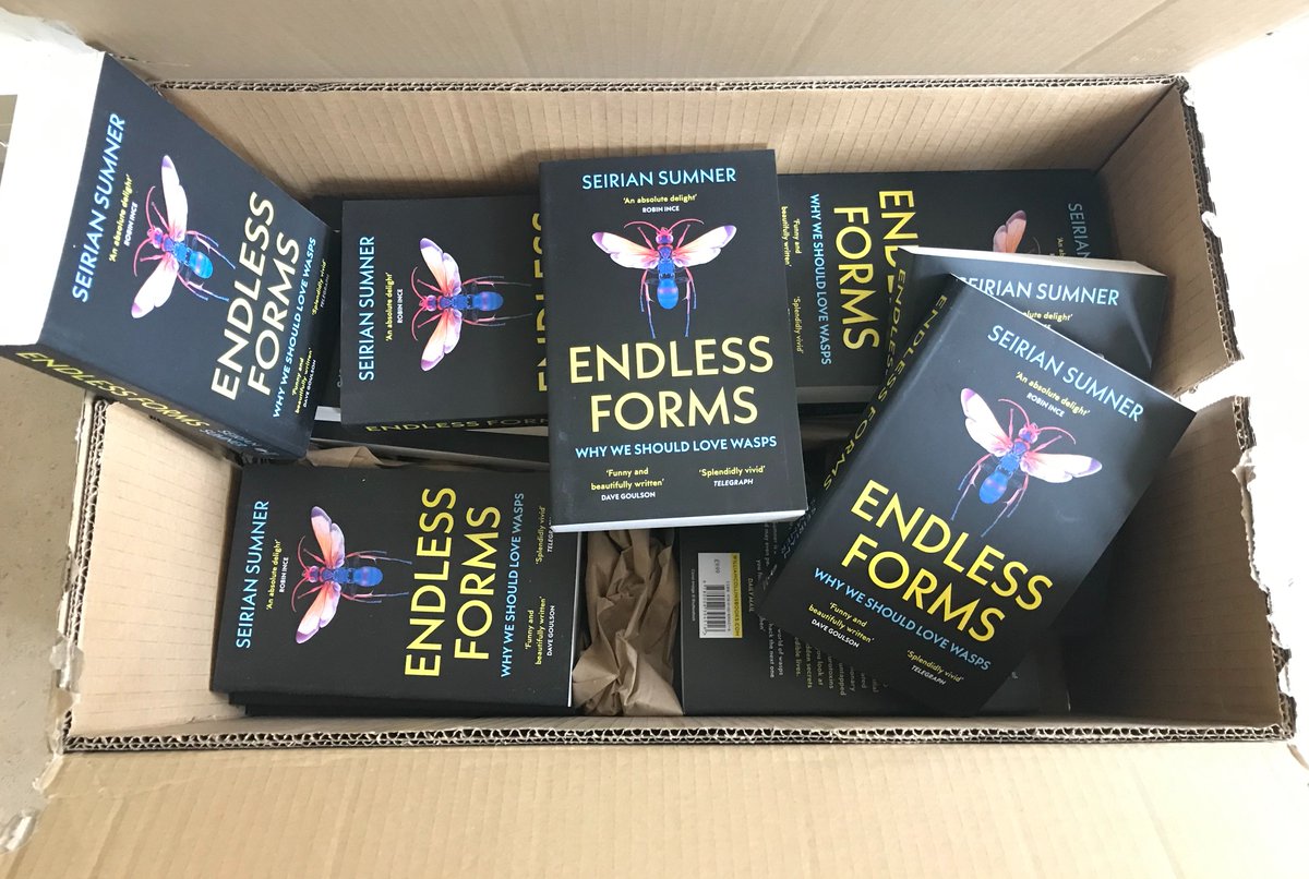 WaspWoman's tweet image. I just spotted this box 👇in my hallway, under a pile of kids coats! Paperback of #EndlessForms! Apparently they arrived days ago😳. Clearly I&apos;ve been working too hard. Out March 30th: perfectly timed for spring queen wasps emerging!
#Whylovewasps @WmCollinsBooks @UCLLifeSciences