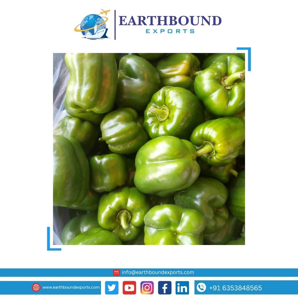 Earthbound_expo's tweet photo. Capsicum ready to export in USA 🇺🇲.
.
.
.
Contact us:- ( WhatsApp) +91 6353848565
Email:- info@earthboundexports.com
Google:- https://t.co/Ekg1oFJkGA
Facebook:- EARTHBOUND EXPORTS

#earthboundexports #surat #gujrat #india  #shipment #logistic #dubai #usa  #salesindia #capsicum https://t.co/Oy3qtCY9GB