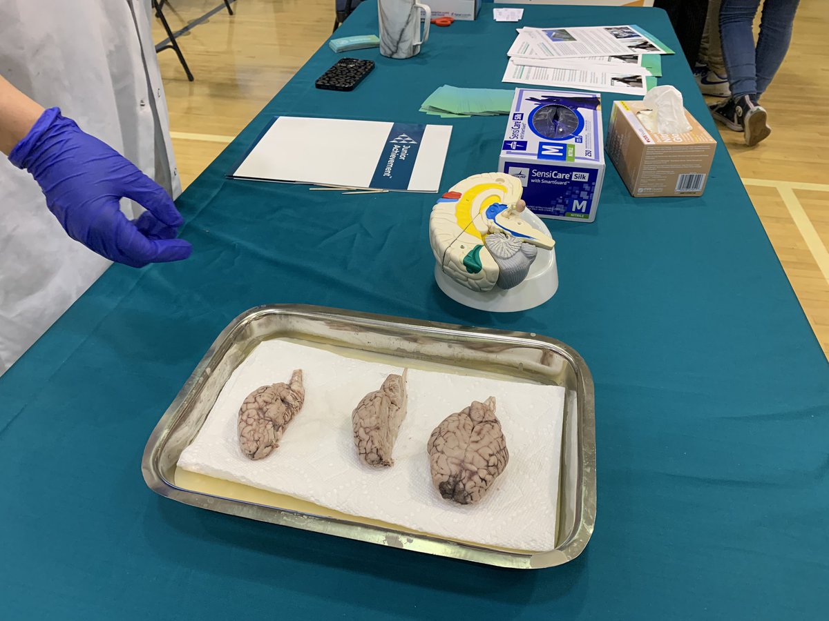 Watkins Seminoles tweet media