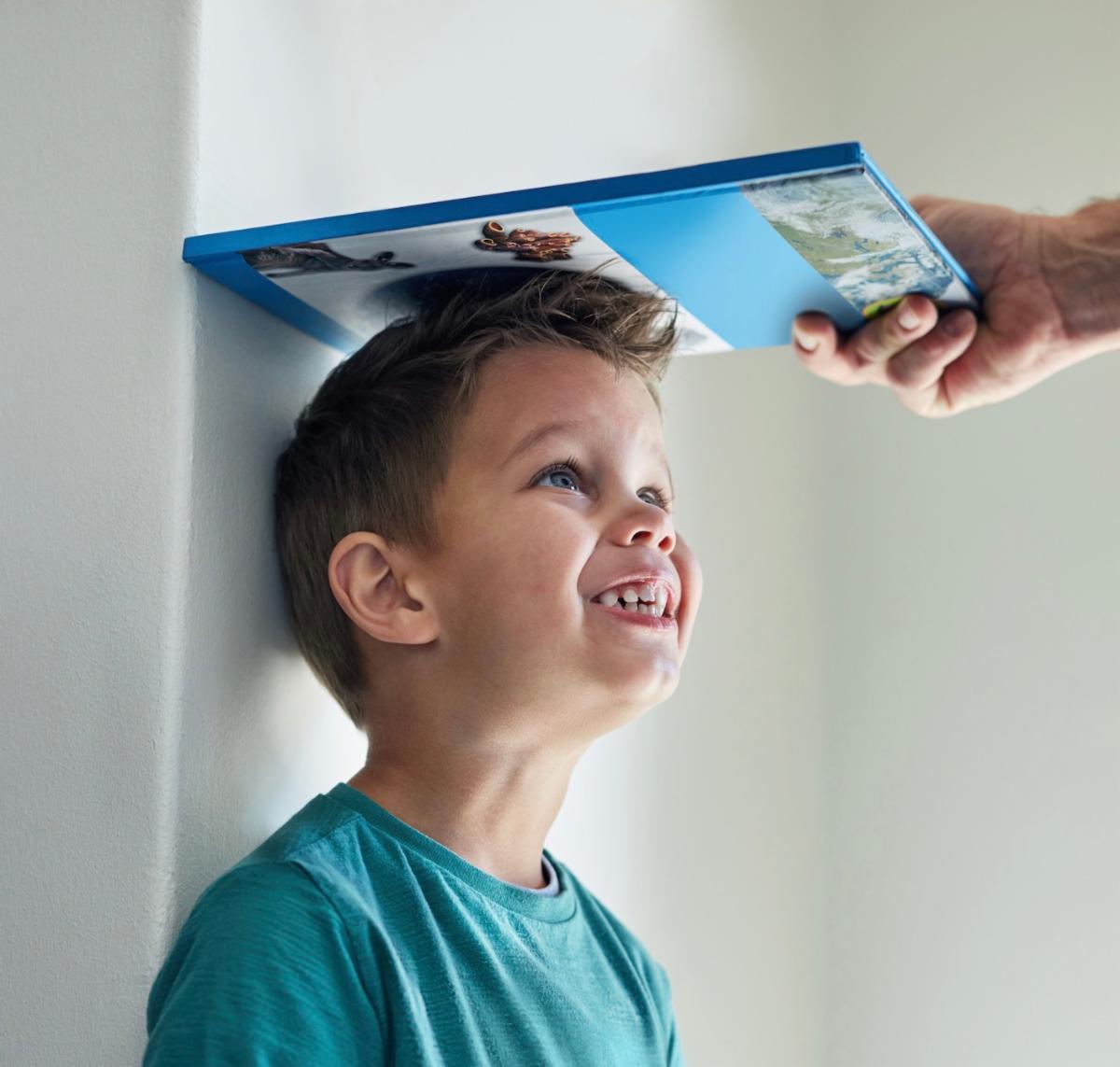 Elizabeth Solar tweet media