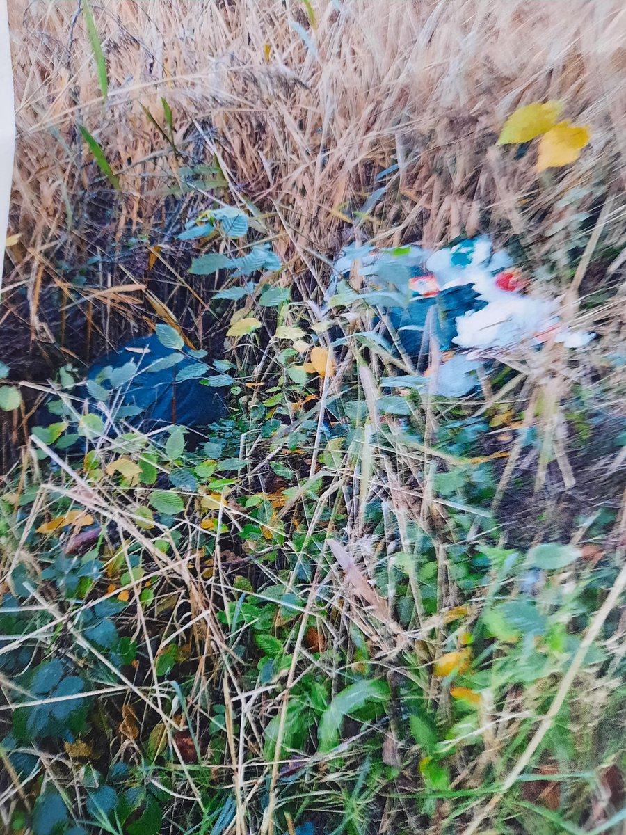 Wexford County Council tweet media