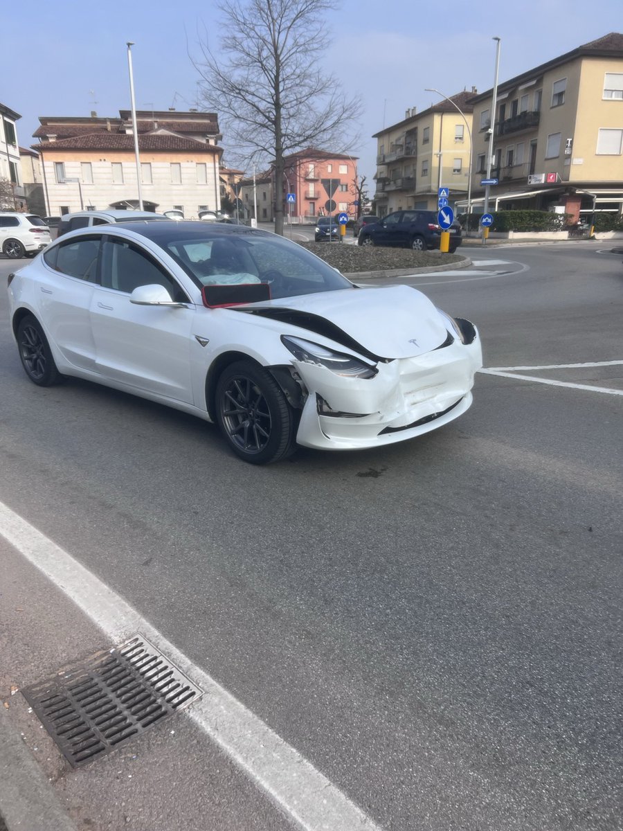 Elisa Milanese tweet media