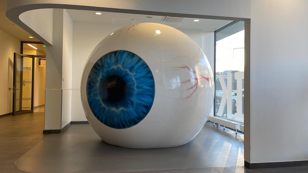 DynAMicFET's tweet photo. Successful week for our @EUeic FETOPEN project at the Institute for Ophthalmic Research  in Tübingen with intense training on ocular tissue protocols and standardization. A great milestone of DynAMic! https://t.co/aMk4Fsighv