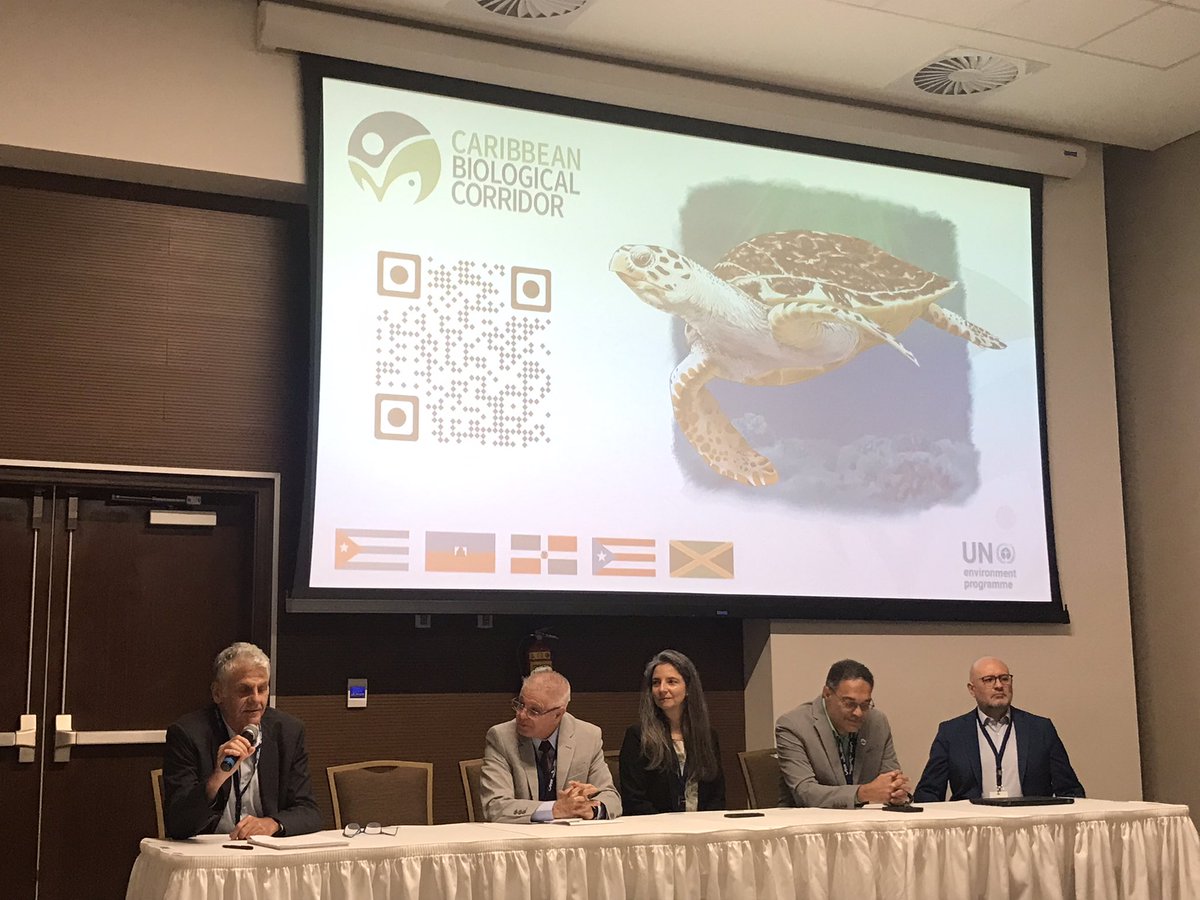 LauraCanevari's tweet image. #OurOcean2023 today starts with a great side event from @UNEP_CEP @CBCbiodiverso highlighting the importance of transboundary governance of #caribbeean #ecosystems @andreacamachoh