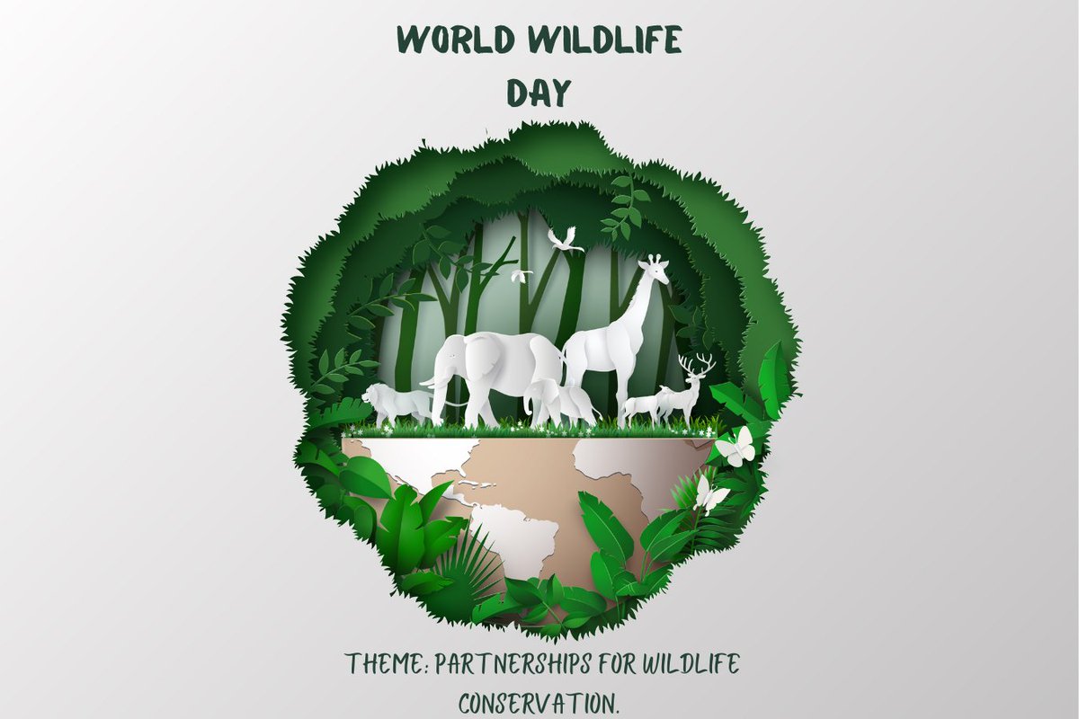 Celebrating #WorldWildlifeDay!

“The message is simple: love and conserve our wildlife.” ~ Steve Irwin

#WeShareAfrica #Zambesia #SportforConservation #ConservationGames #WildlifeConservation #Conservation #AfricaConservation