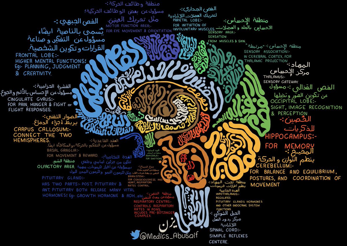 يـزّن الغماس tweet media