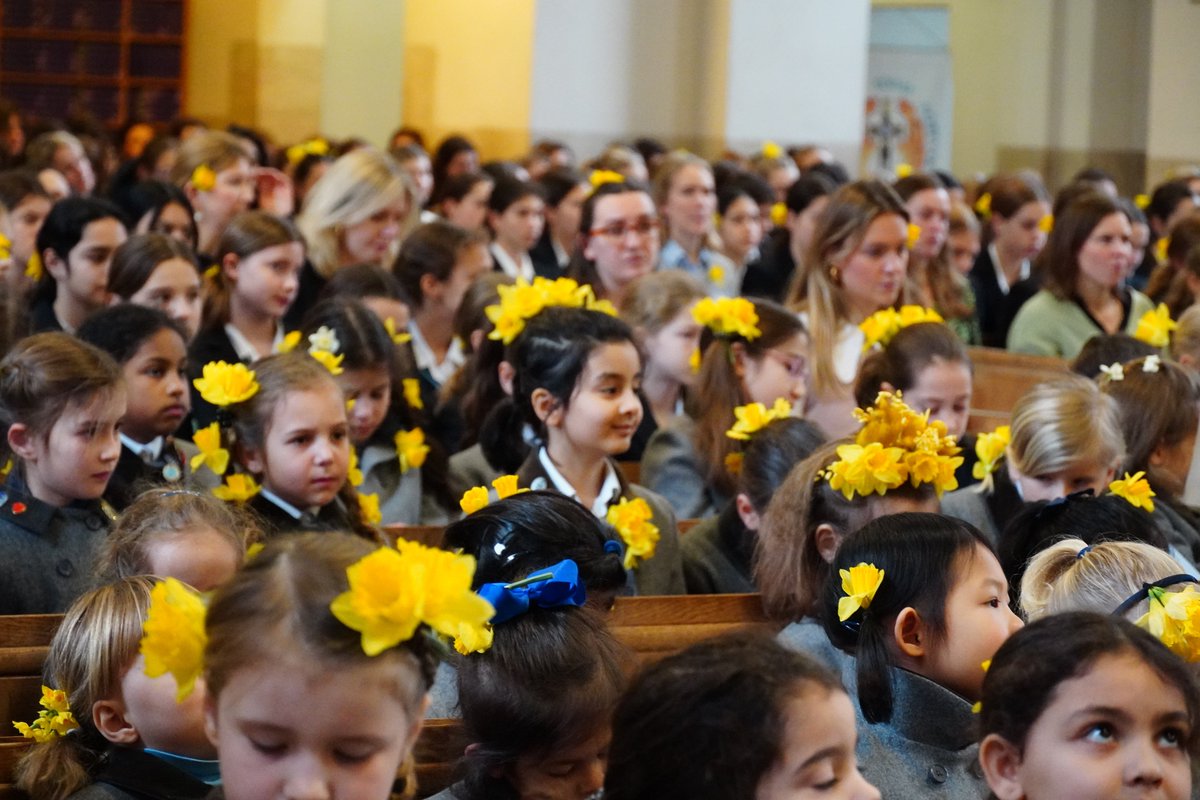 Francis Holland tweet media