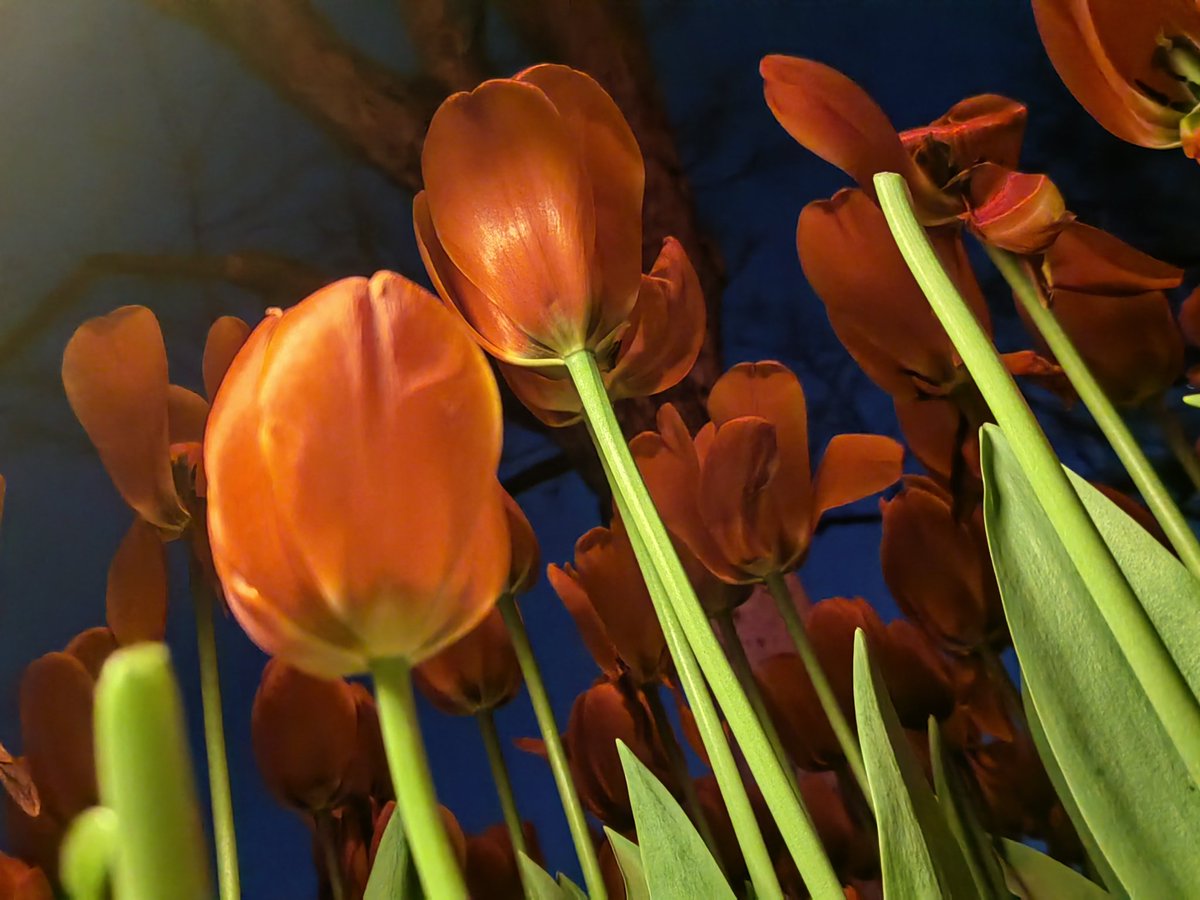 I tupilani di Kunming. 
studio italiano da 3 mese.(ง ˙o˙)ว
vorrei scrivere molto italiano.