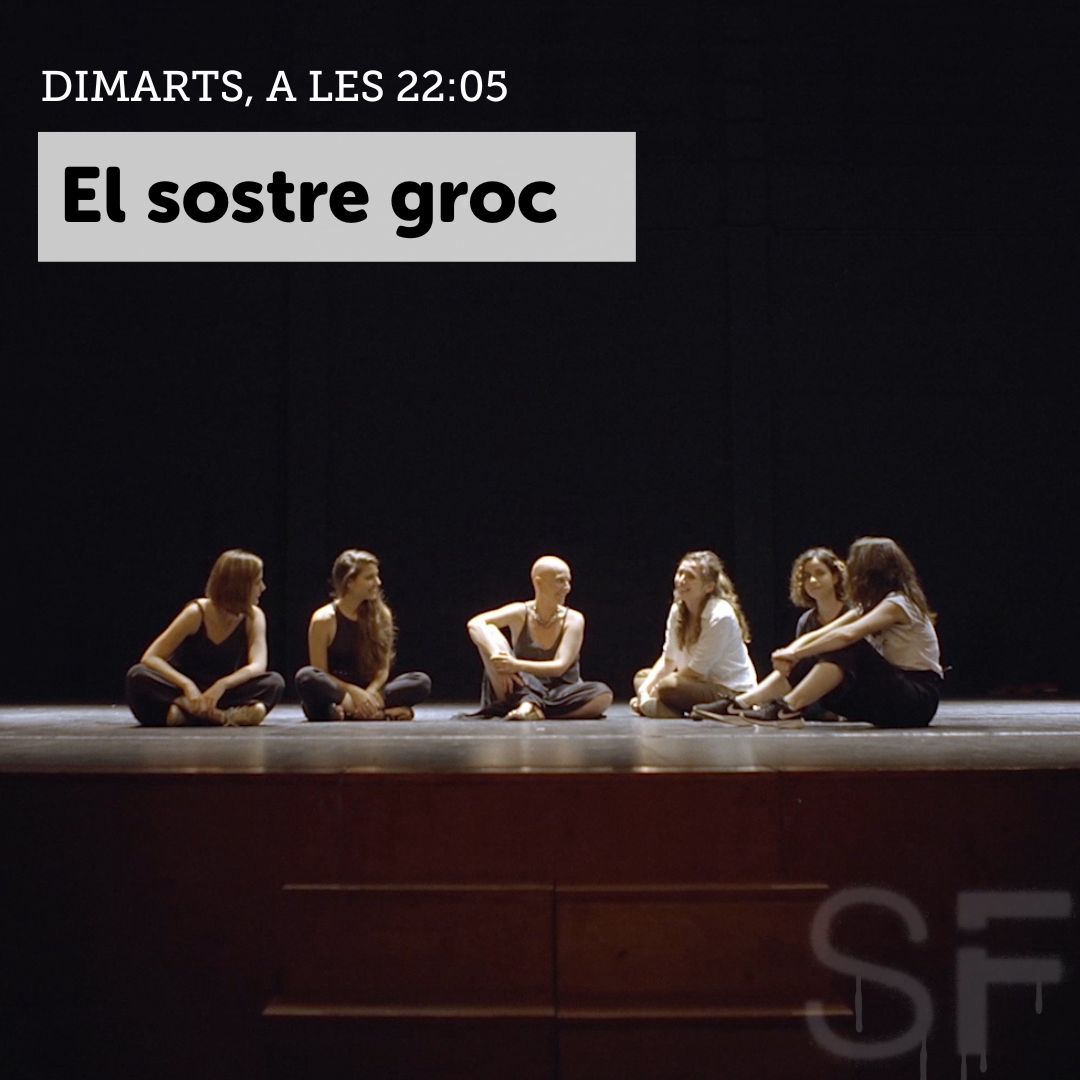 Sense ficció tweet media