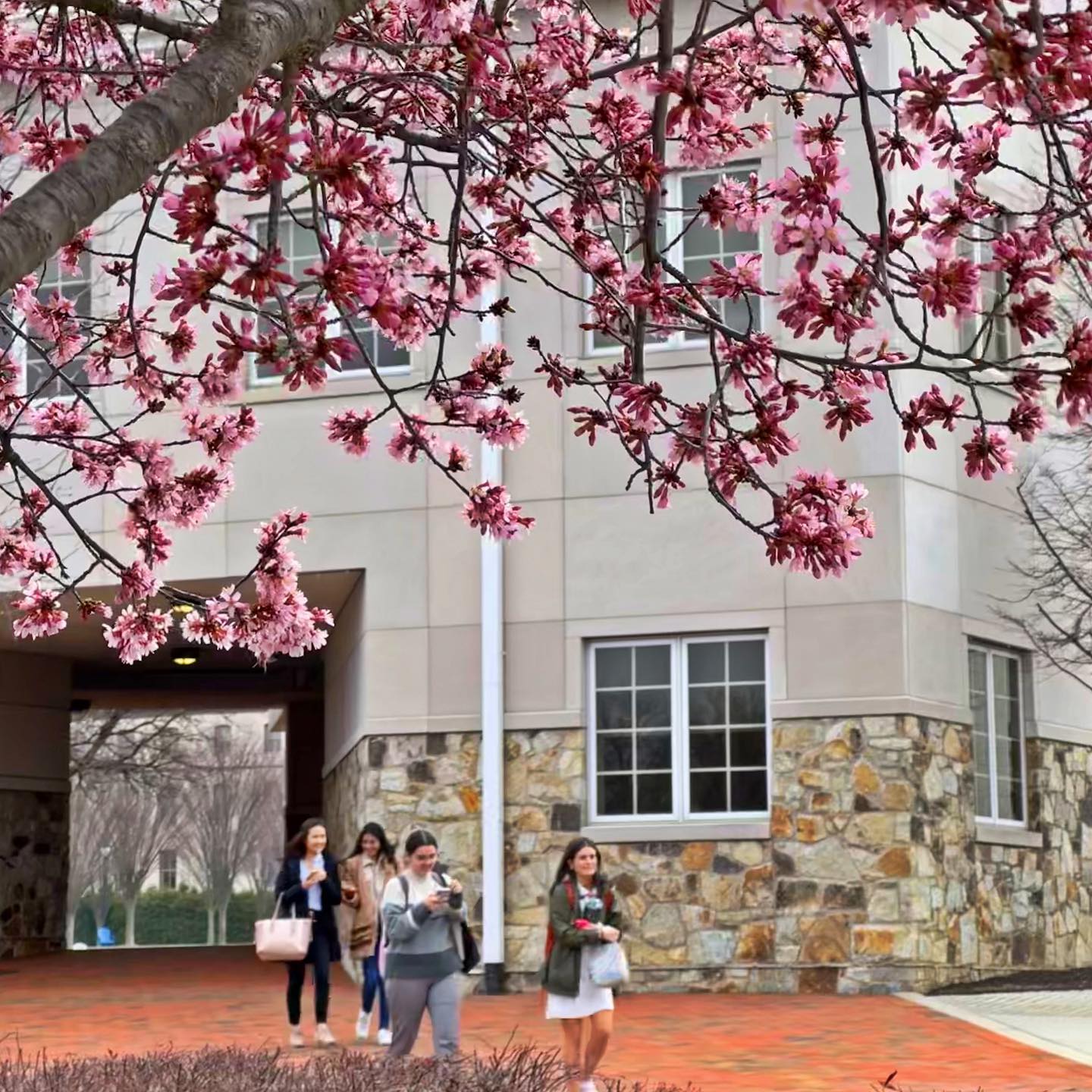 Widener University on Twitter "Whether you’re heading home, staying on