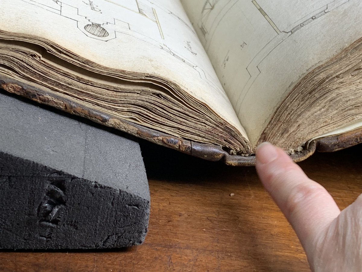 Manolo Guerci tweet media