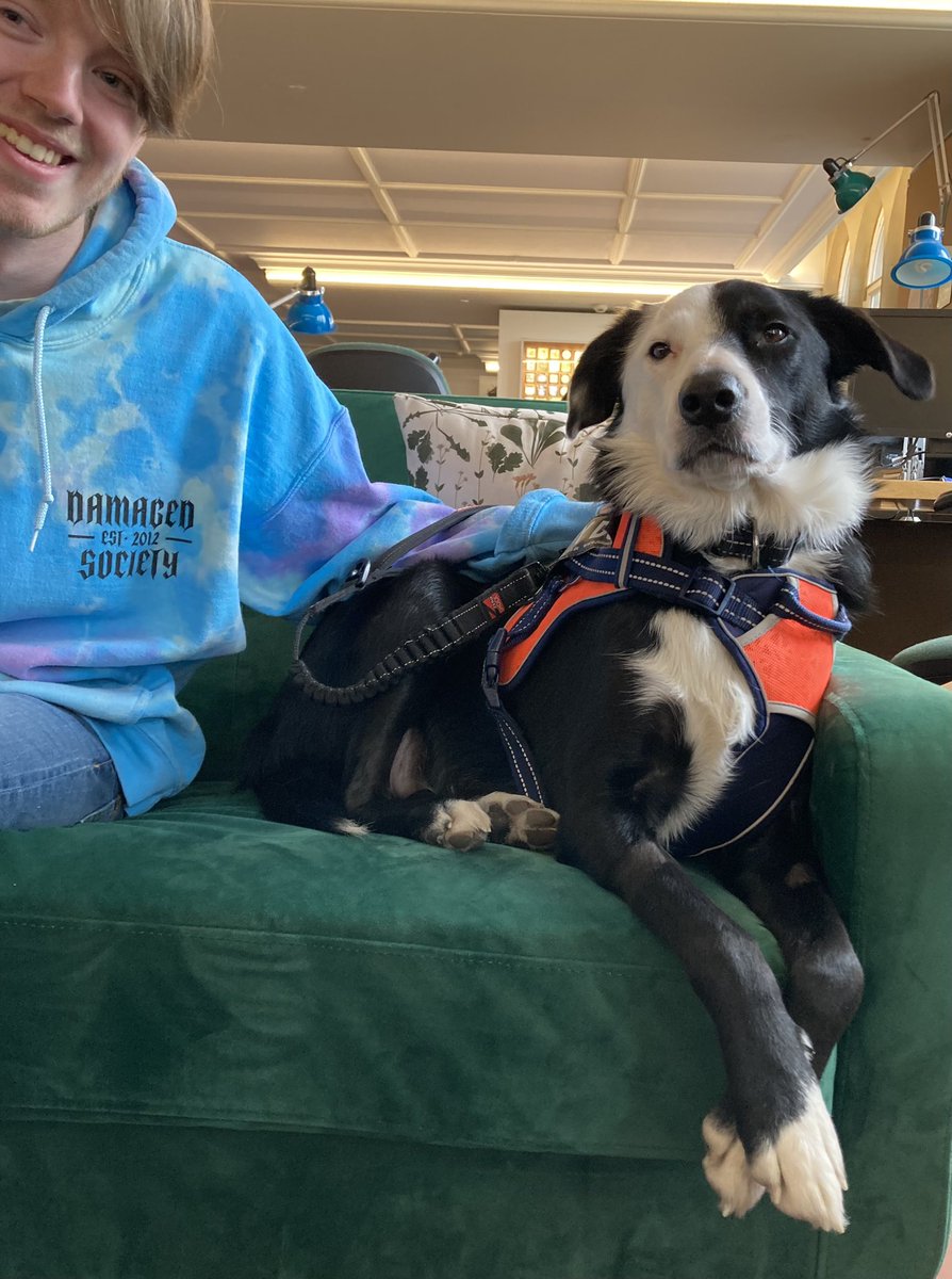 KarenBrackenri4's tweet image. First day on galleries @McrMuseum please post your #MeetMurray pics here! My PA is always by my side…but our @CareLeaverCov #WorkSkills student was directing me today! #ICanSeeTheTreats #NoStrangerToTheCamera 🐾🐾