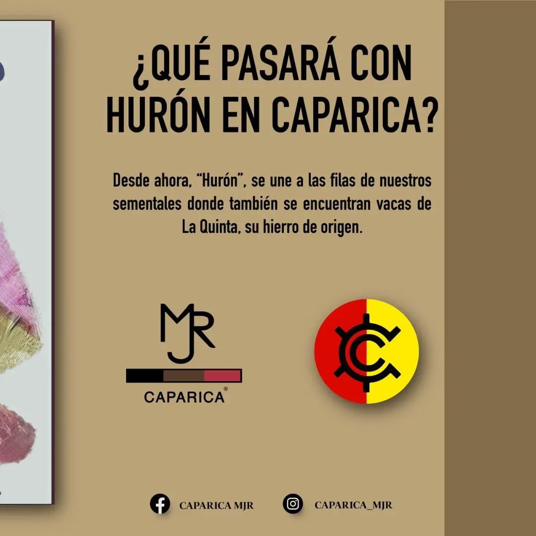 ¡Bienvenido Hurón! 🐂

Conoce la historia de nuestro nuevo semental 🔥

Gracias  Ganadería La Quinta!! 

#CaparicaMJR #CampoBravo #Semental #Mexico #España #bienestaranimal