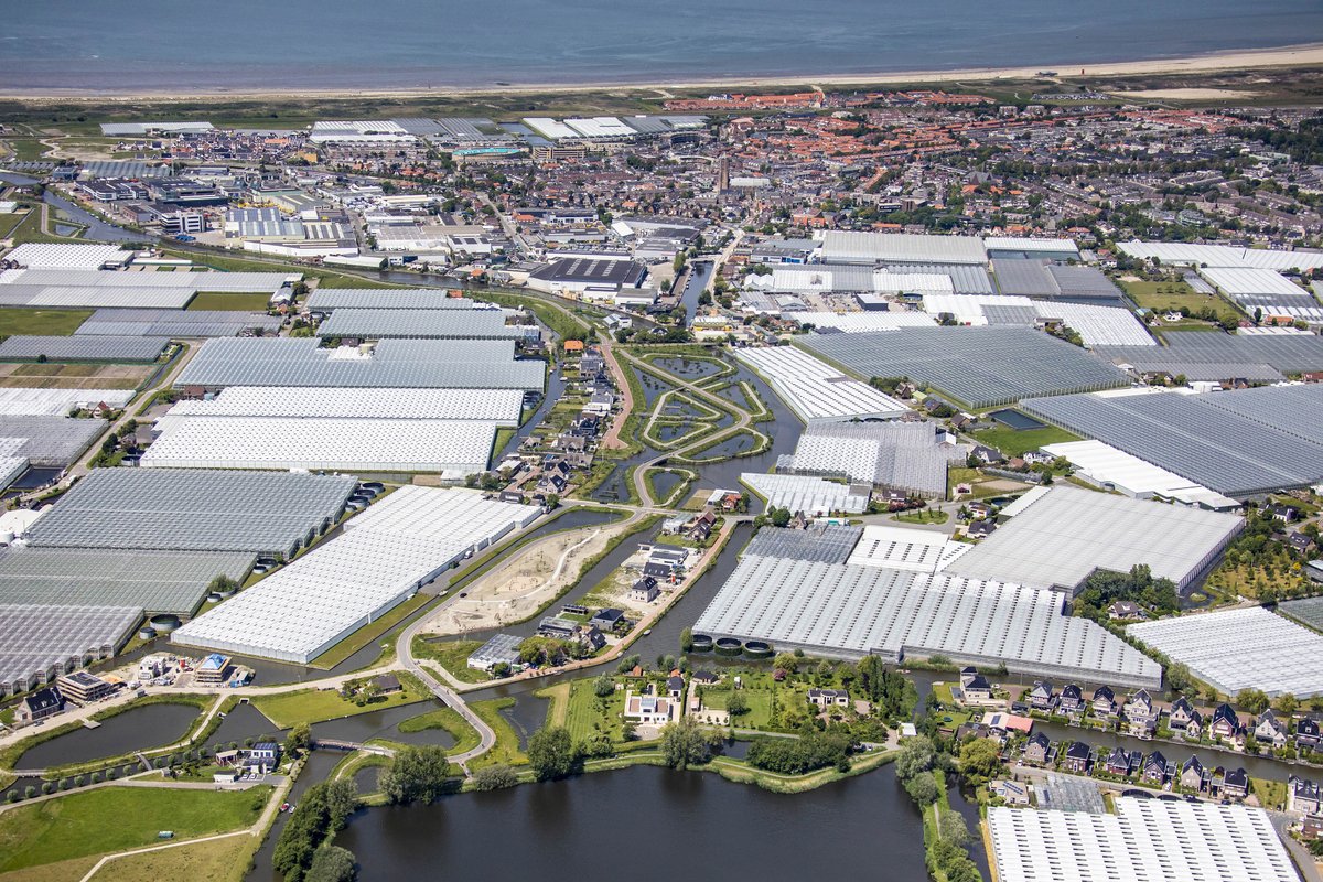 Interview over stimuleringsprogramma Westland Agenda 3 bij <a href="/groentenfruit/">Groenten&Fruit</a>. Versterking van de lokale economie en focus op innovatie staat centraal. Lees het hele interview hier: ap.lc/mpzkh 

#verduurzaming #westland #glastuinbouw #innovatie