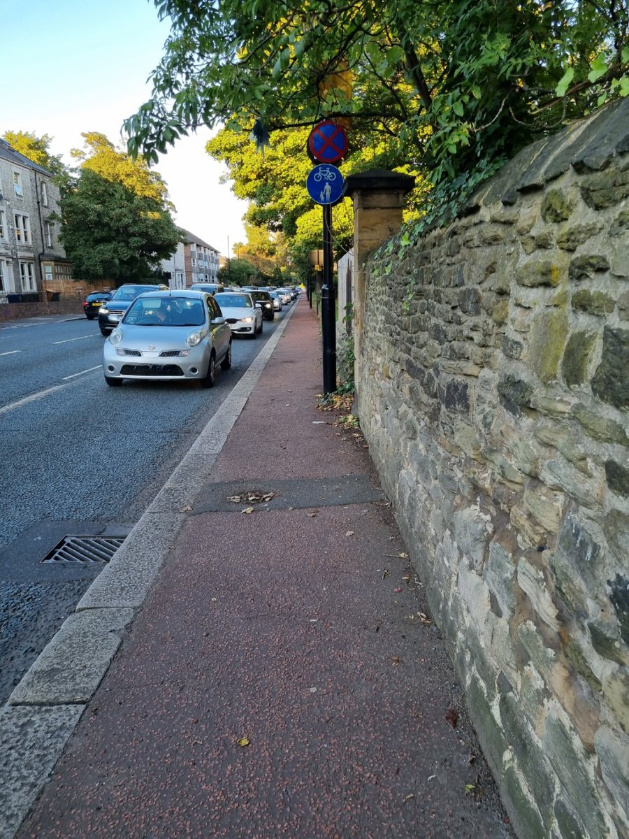 Rachel Norman tweet media