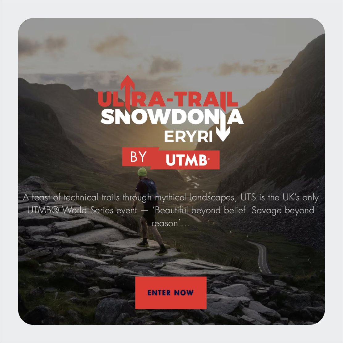 Mathew Lowe ✌︎ tweet media