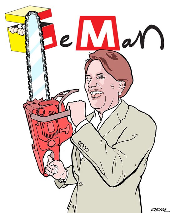 Resim