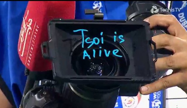 🎾 tweet media
