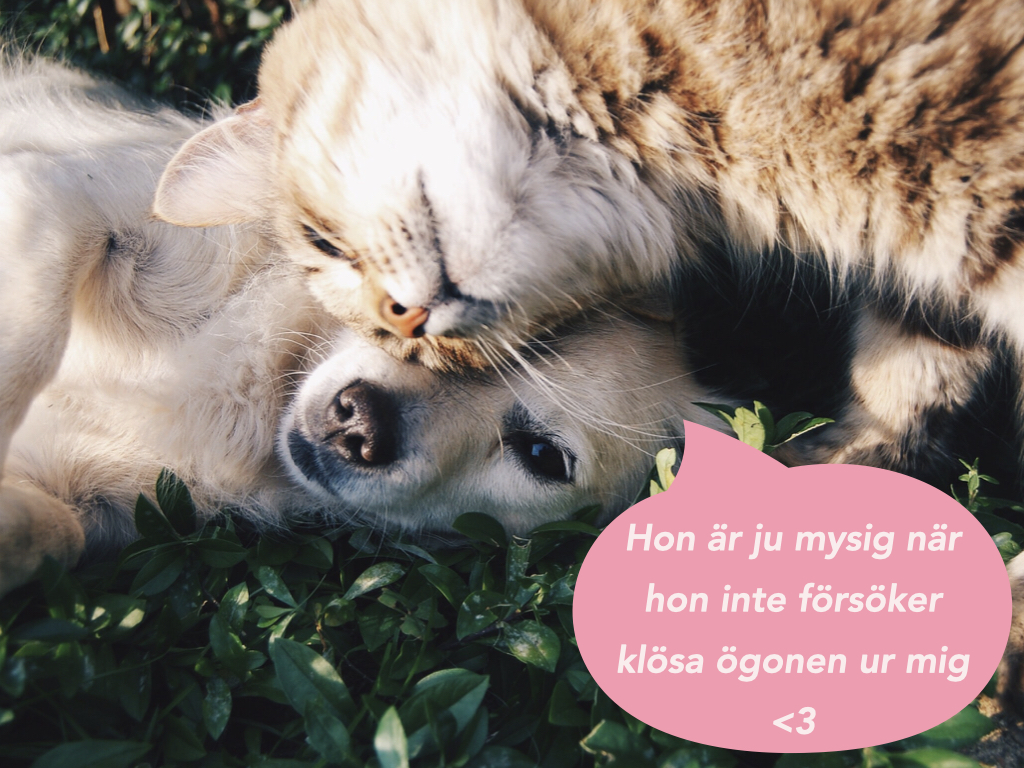 I månadens gratiskurs får du träna på att hantera konflikter genom att mästra våra motsättningar. 

habitud.se/courses/motsat…