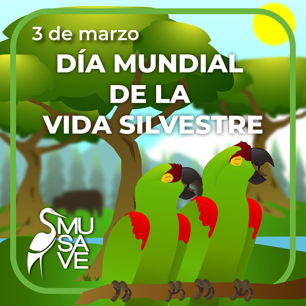 ¡Hoy se celebra el Día Mundial de la Vida Silvestre! 🐦🌎✨
𝙼𝚄𝚂𝙴𝙾 𝙳𝙴 𝙻𝙰𝚂 𝙰𝚅𝙴𝚂 𝙳𝙴 𝙼É𝚇𝙸𝙲𝙾
𝙲𝙾𝙽𝙾𝙲𝙴𝚁 𝙿𝙰𝚁𝙰 𝚅𝙰𝙻𝙾𝚁𝙰𝚁 𝚈 𝙲𝙾𝙽𝚂𝙴𝚁𝚅𝙰𝚁
#conocerparavaloraryconservar #musave #turismo #mexico #museo #Coahuila #saltillo #diamundialdelavidasilvestre