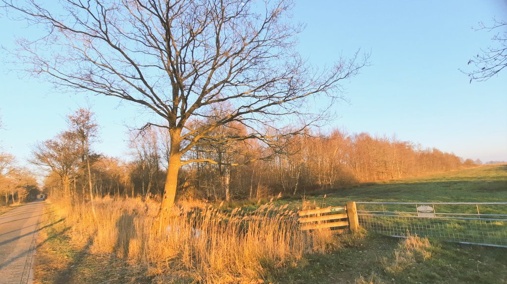 klaaswillemb's tweet photo. A few more from this (sunny) week #landscapescenery #paisajes #deDeelen #easterskar #NaturePhotography #NatureBeauty #Friesland https://t.co/RJuSmgGQwh