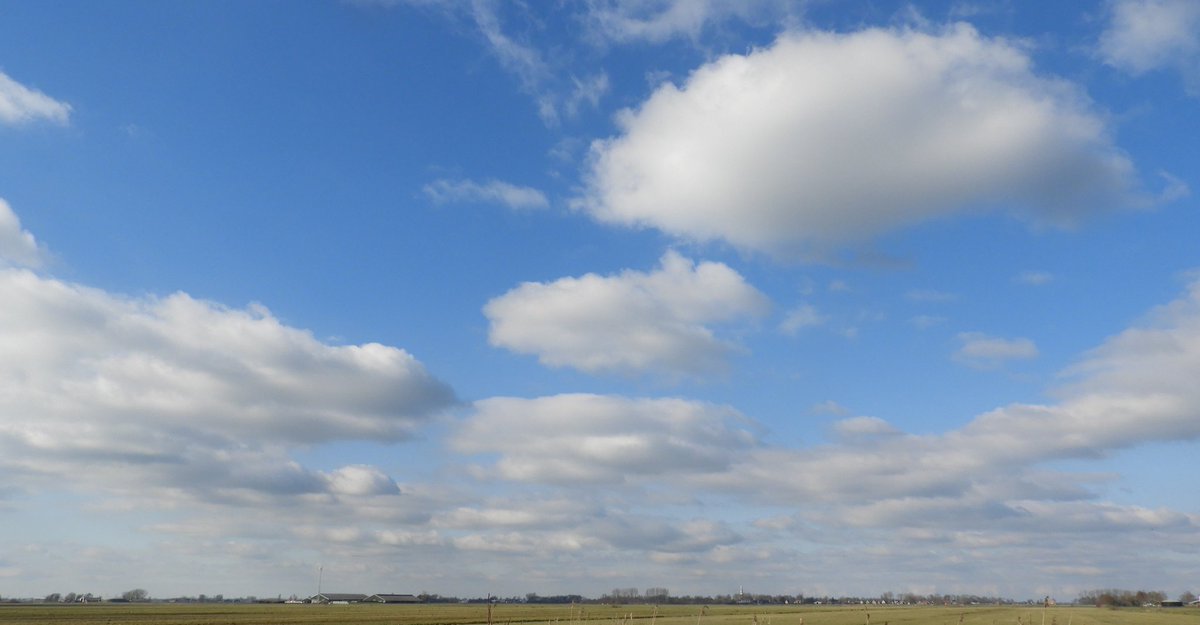 klaaswillemb's tweet photo. A few more from this (sunny) week #landscapescenery #paisajes #deDeelen #easterskar #NaturePhotography #NatureBeauty #Friesland https://t.co/RJuSmgGQwh
