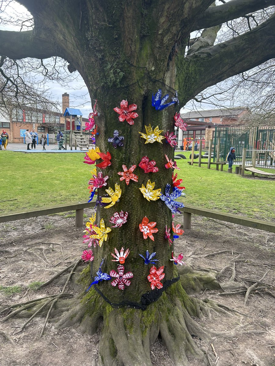 stwilliambolton's tweet photo. Year 6's recycled plastic bottles look absolutely beautiful on our prayer tree. @belindajohn71 https://t.co/rCzFlftcwM