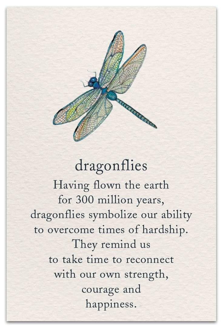 Beautiful reminder
#EarthMagick #Dragonflies