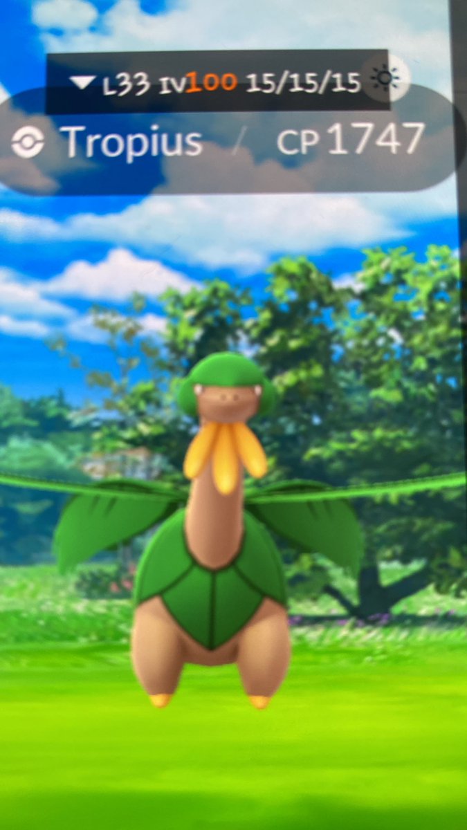 GOGOGOGOGOGOGOGO

💯 TROPIUS

36.480990,-6.198656