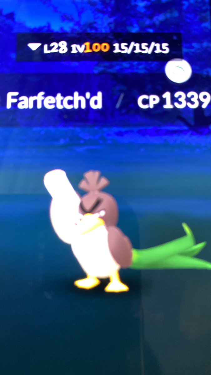 GOGOGOGOGO

💯 GALAR FARFETCH’D

35.265471,128.868371