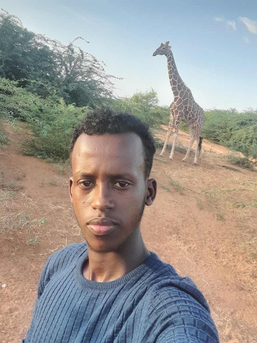 A selfie with the Big friendly giant. 
Happy world Wildlife Day . 
#PartnershipsforWildlife
#somaligiraffe 
#WorldWildlifeDay2023 
@somali_giraffe @hirola_program @alihirola @nishad_patel @fazeelamubarak @ladan_Ajama @birdingtherapy