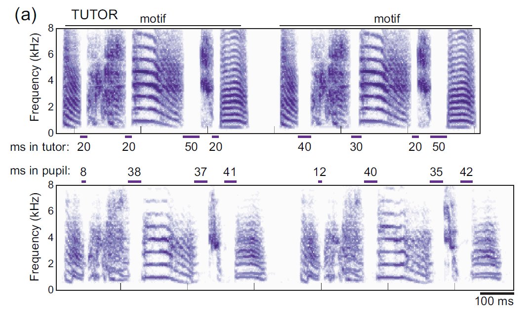 Logan S James tweet media