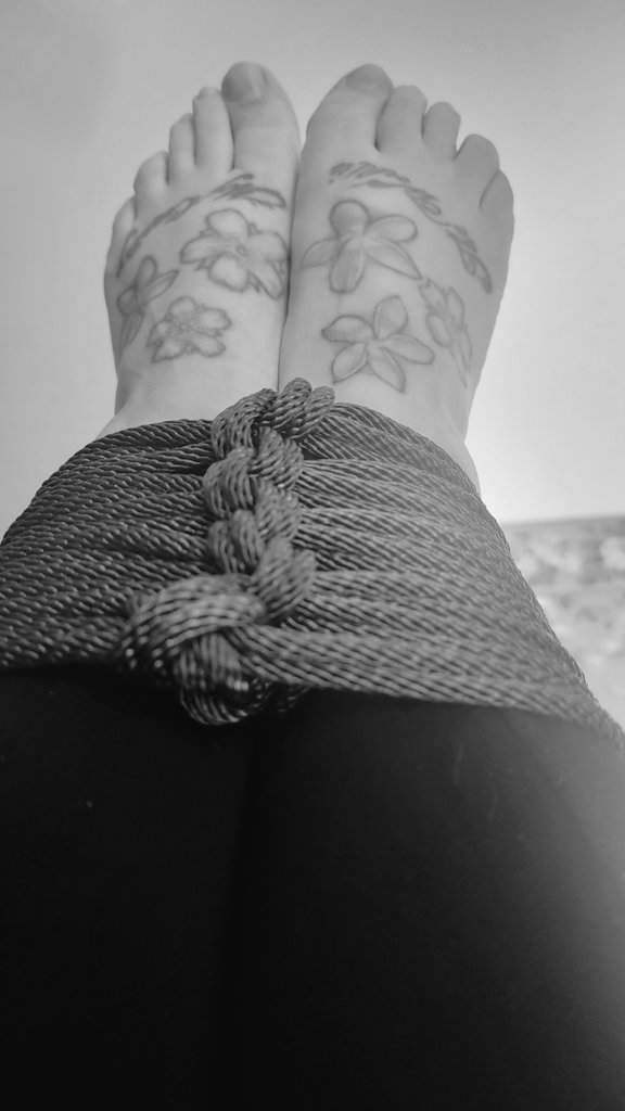 CatPothos's tweet photo. The compression is nice when that anxiety kicks in. 

#rope #of #badbrain #tattoos #compression https://t.co/IPlmIESjmM