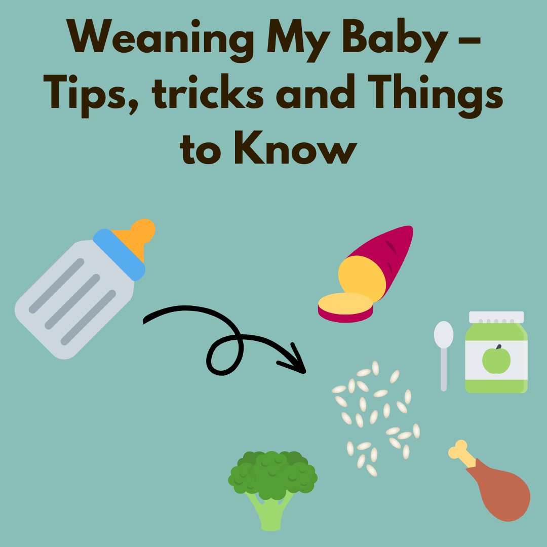 Cells4Life tweet media