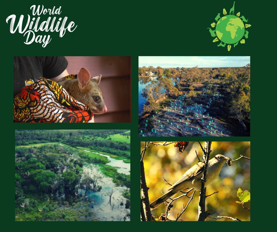 Happy World Wildlife Day! We are proud to work with partners around the world to protect and conserve wildlife and their habitats. 

#WorldWildlifeDay