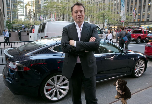 camolNFT's tweet photo. The most liked reply in one hour decides what I add to this picture of @elonmusk https://t.co/pJchhnN6oy