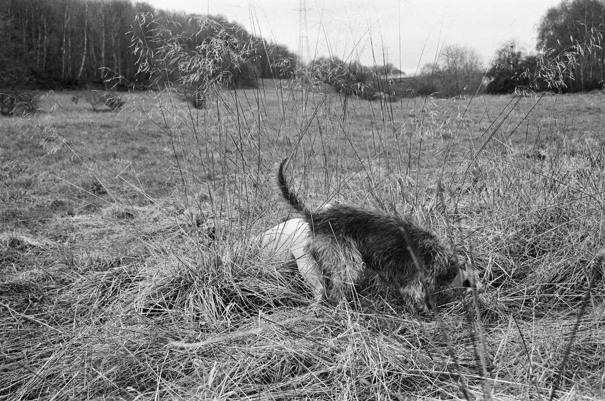 Grace Batley tweet media