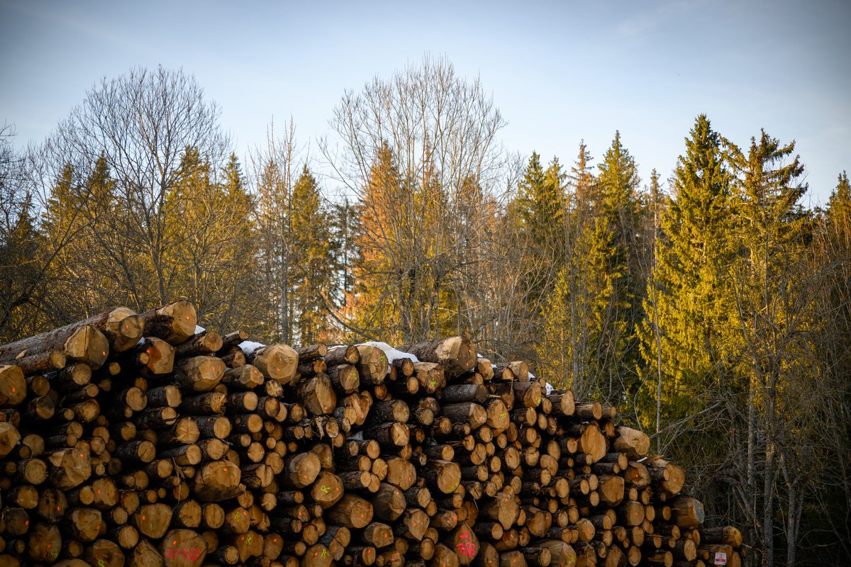 Ecologie_Gouv's tweet photo. Hier se terminait le #OneForestSummit sur la protection des forêts et de la biodiversité. 
🌳 L’occasion de revenir sur les forêts 🇫🇷 impactées par le changement climatique. L'objectif : la plantation d’1 milliard d’arbres et renouveler 10 % de la forêt française en dix ans. https://t.co/ax0wFSU3ht