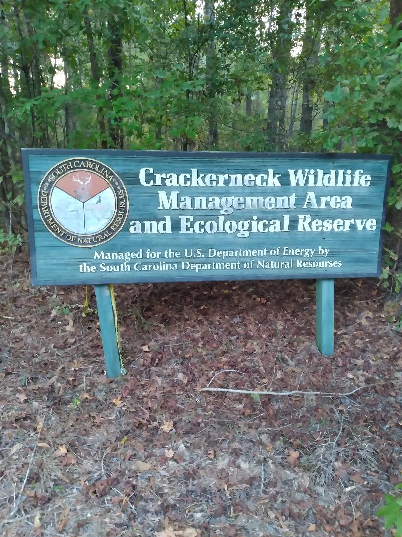 SRS Watch tweet media