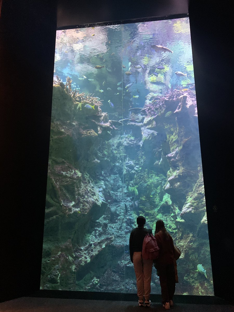 ClgLeandre's tweet photo. Sortie 🌊 Mission Océan 🌊 à Cherbourg pour les élèves de 4e : visite du sous-marin Le Redoutable, observation des aquariums🐟🐠, accueil au lycée maritime et aquacole Rigolet ⛴️ pour découvrir les formations proposées. Une journée intense et riche en apprentissages. 👍 https://t.co/XtqVTi2D1i