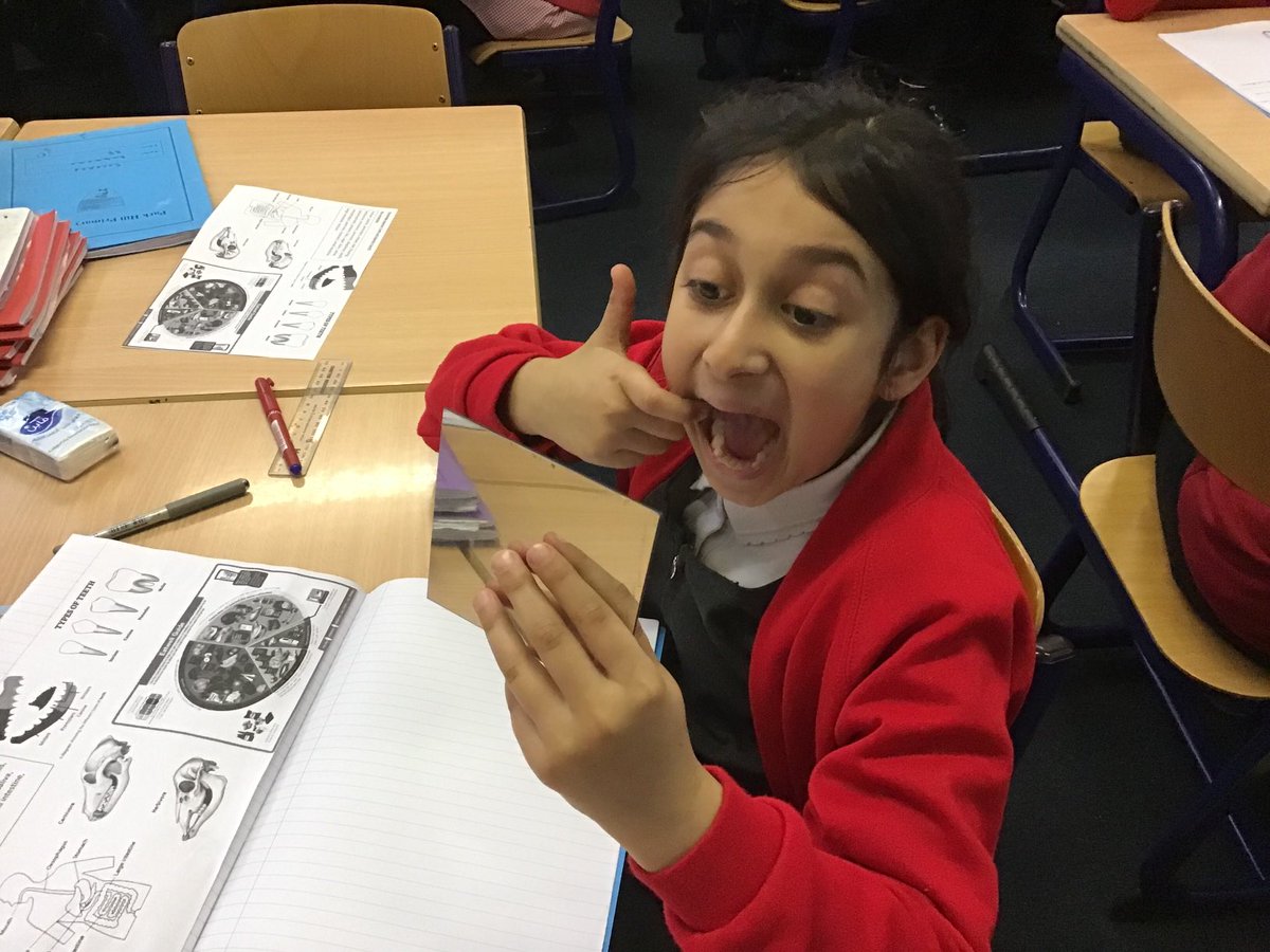 parkhillmoseley's tweet photo. Children in Year 4 enjoyed looking at their own teeth as part of their science lesson. They thought about: the different sizes and shapes of their teeth and the functions of their teeth.
#teethanddigestion
#scientificenquiry https://t.co/85gm61N1n4