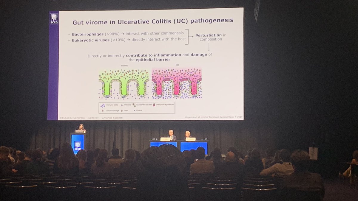 KorcsmarosLab (@korcsmaroslab) on Twitter photo #IBD & the gut #virome! Nice talk by Amanda Facoetti from the group of Federica Ungaro (<a href="/Fede917119011/">Federica Ungaro</a>) #ECCO23. Using multiple models, including viral protein expressing #organoids. Exciting and inspiring results! 👏 #IBD & the gut #virome! Nice talk by Amanda Facoetti from the group of Federica Ungaro (<a href="/Fede917119011/">Federica Ungaro</a>) #ECCO23. Using multiple models, including viral protein expressing #organoids. Exciting and inspiring results! 👏