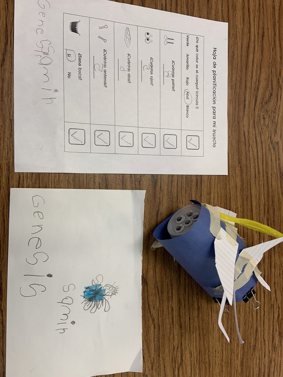 Erin O’Connor tweet media