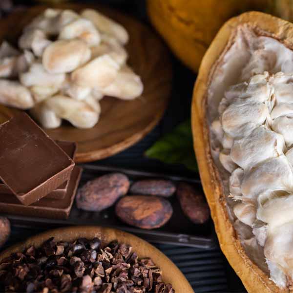 🍫You need to try the Bean-to-Bar chocolate and join the revolution! 😱 It'll blow your mind!  
👉 zurl.co/ZcFh 

🍫DEGUSTA TU CHOCOLATE COMO SI FUERA UN VINO!
Leer aquí👉 zurl.co/kVLp 

 #chocolate #beantobar #ethical #artisan #craft #food #foodlover